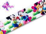 Barrotado Impreso con personajes Disney – Minnie y Mickey, Fondo Blanco, Césped, Regalo, 